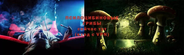 МДПВ Краснослободск