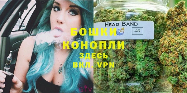гидра Корсаков