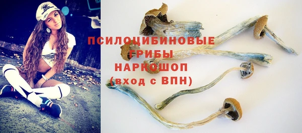 МДПВ Краснослободск