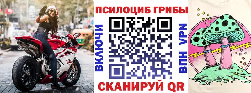 Псилоцибиновые грибы MAGIC MUSHROOMS  как найти   Хилок 